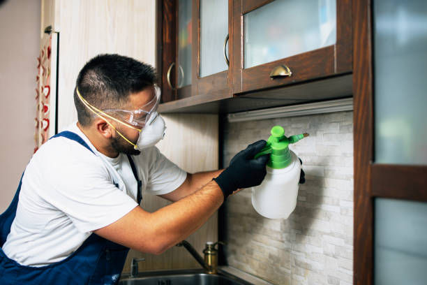 West Ocean City, MD Pest Control Company
