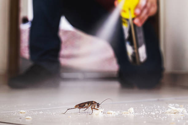 Best Commercial Pest Control Services  in West Ocean City, MD