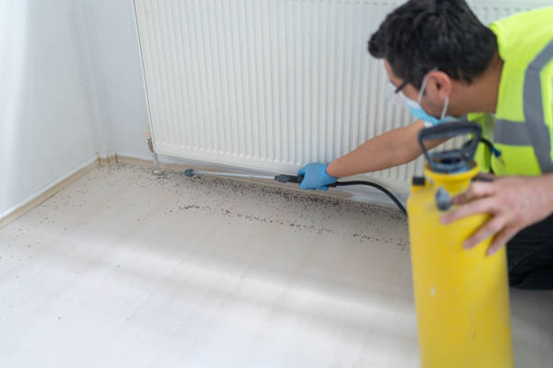 Best Ant Control Services  in West Ocean City, MD